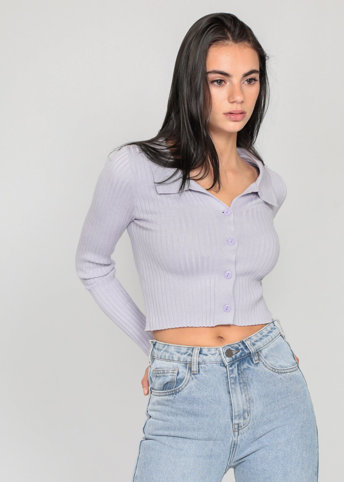 Ribbed jumper with revere collar in lilac